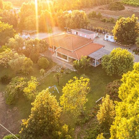 לינה וארוחת בוקר אלגהרו The Vineyards מראה חיצוני תמונה