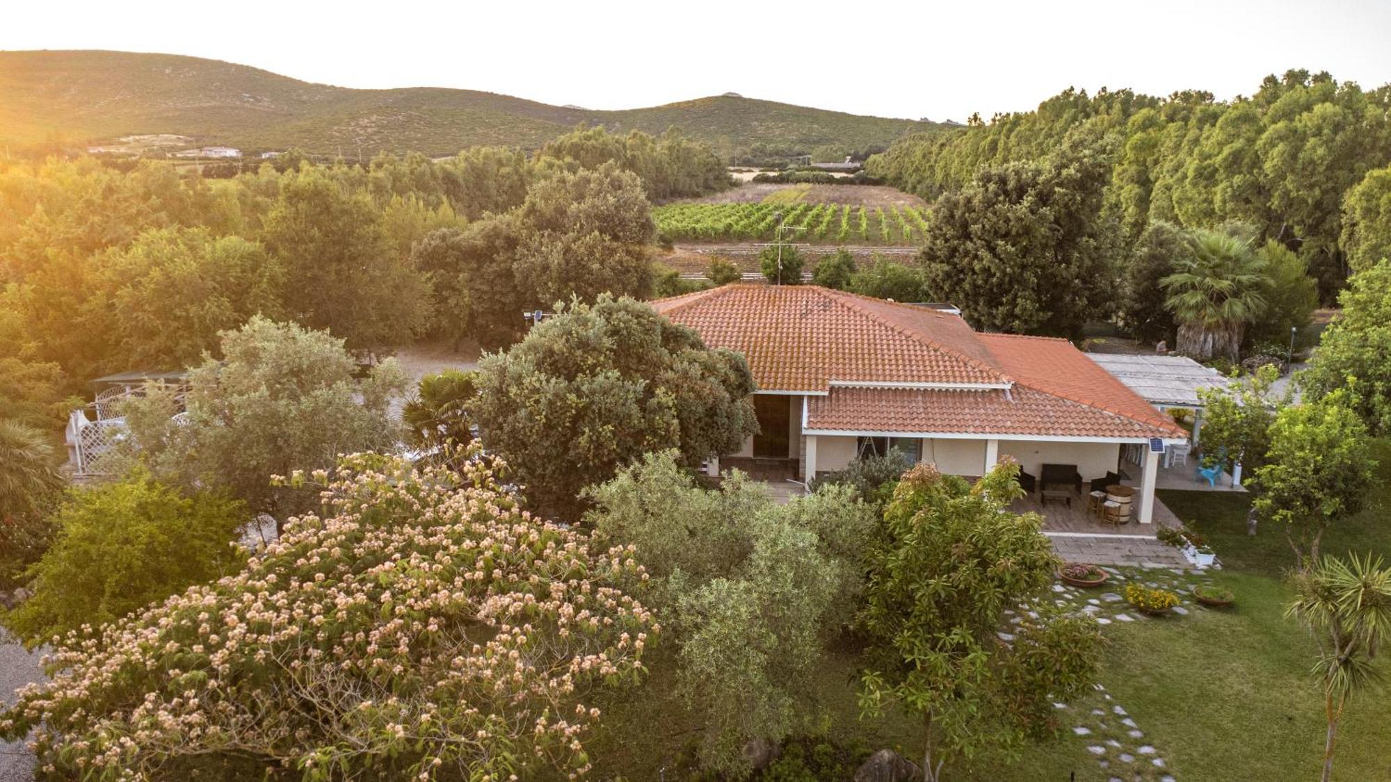 לינה וארוחת בוקר אלגהרו The Vineyards מראה חיצוני תמונה