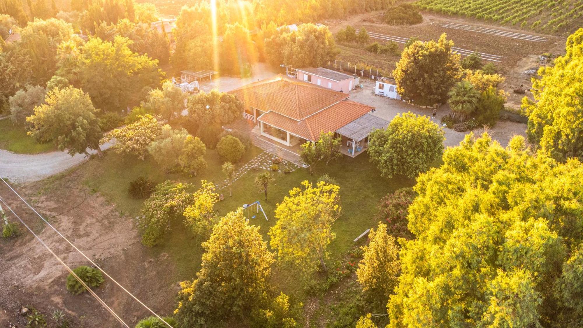 לינה וארוחת בוקר אלגהרו The Vineyards מראה חיצוני תמונה